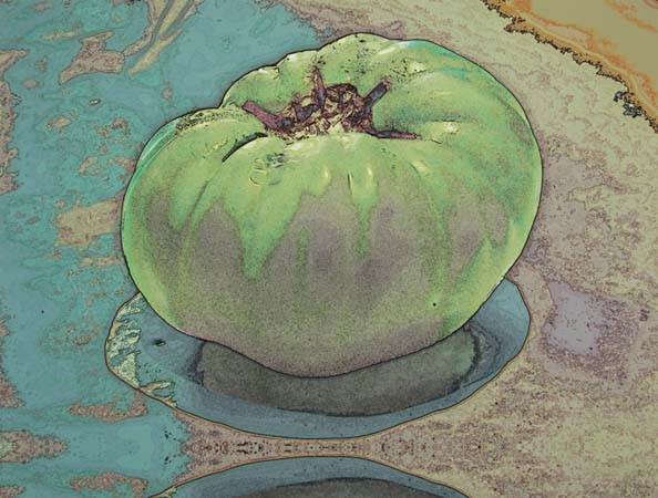 Green Tomato