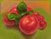 tomato and basil