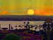 Sandiego Sunset