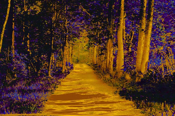 A yellow road