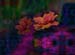 Gold and Purple Rose
