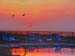 Pool Sunrise Amelia Island